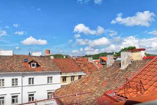 Апартаменты Duke Apartments Вильнюс Апартаменты Делюкс-13